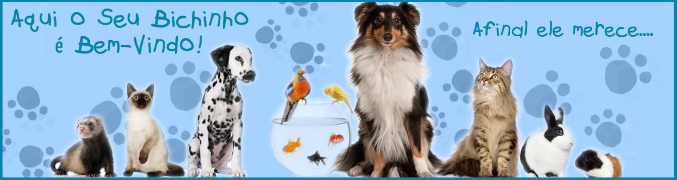 Aqui o seu animal é bem-vindo!